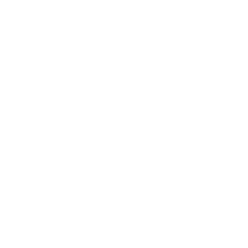 Firework Icon
