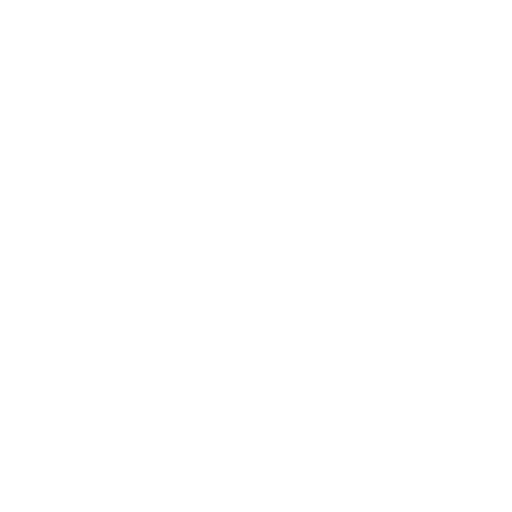 Funfair Icon